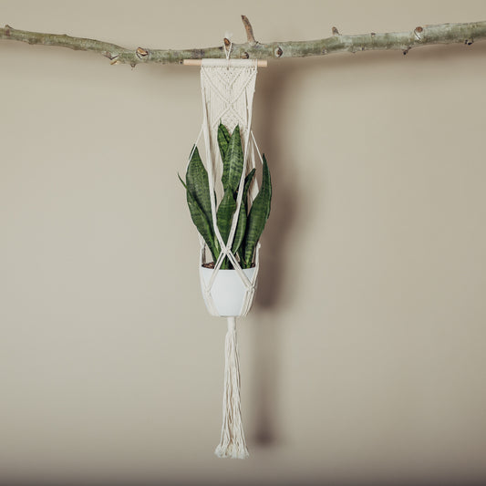 Macrame Hanging Planter